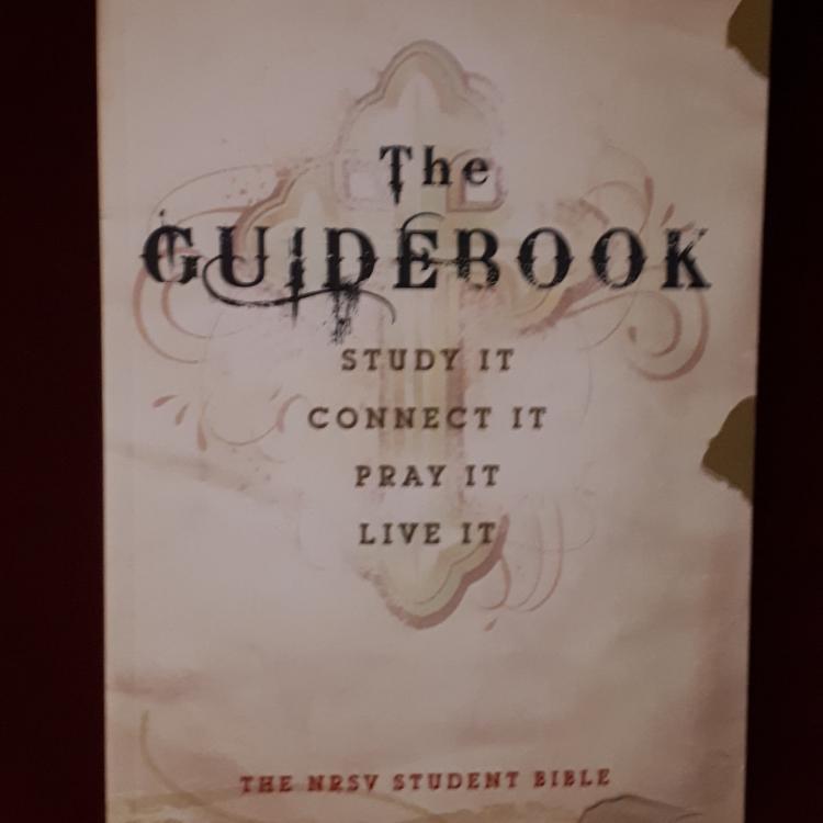 The Guidebook:  The NRSV Student Bible